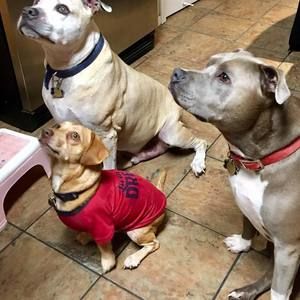 Meet your Posher, Paulette